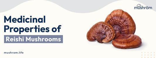Medicinal Properties of Reishi Mushrooms