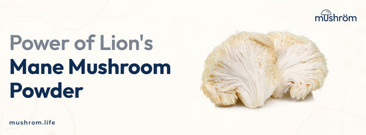 Power of Lion's Mane Mushroom Powder
