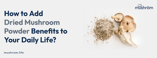 How to Add Dried Mushroom Powder Benefits to Your Daily Life?