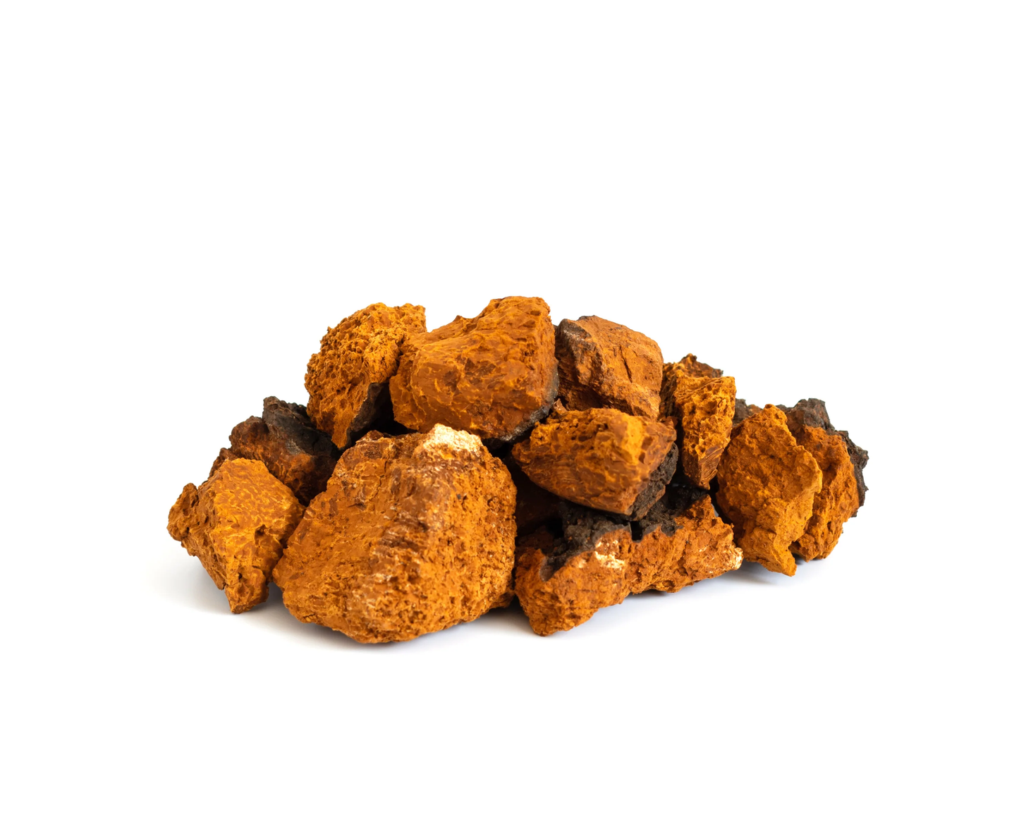 Chaga Image