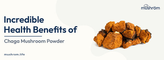 Incredible Health Benefits of Chaga Mushroom Powder