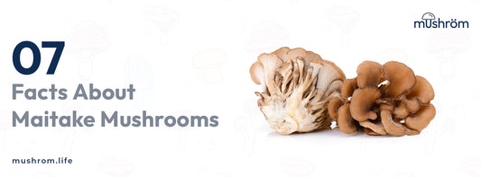7 Facts About Maitake Mushrooms