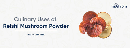 Culinary Uses of Reishi Mushroom Powder