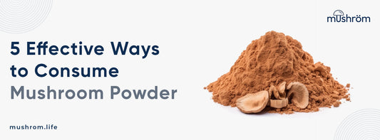 Effective Ways To Consume Cordyceps Mushroom Powder5