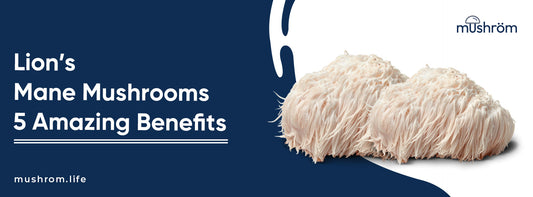 Lion’s Mane Mushrooms: 5 Amazing Benefits