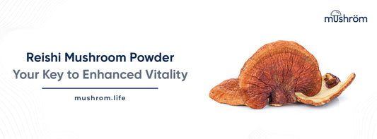 Reishi Mushroom Powder: Your Key to Enhanced Vitality