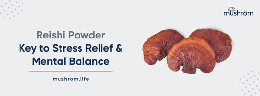 Reishi Powder: Key to Stress Relief & Mental Balance